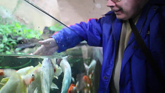En visite à L'aquarium de LIMOGES